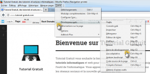 Dans le menu « Outils », cliquez sur « Développeur web » et ensuite « Barre de développement »