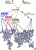 Supprimer suspicious cloud virus adware probleme indesirable